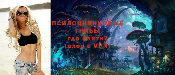 прущие крисы Арсеньев