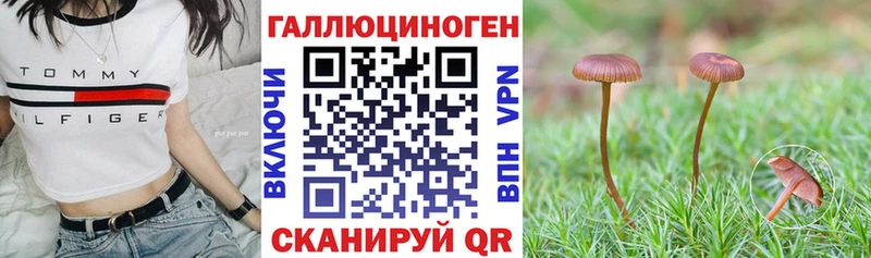 МЕГА зеркало Протвино Псилоцибиновые грибы мухоморы